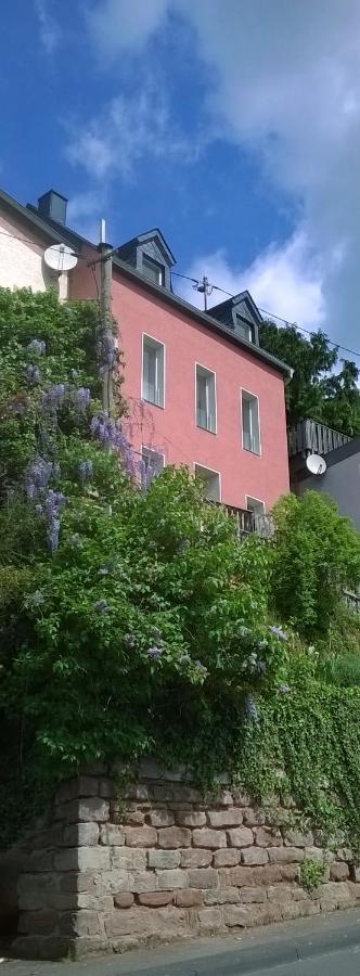Villa Logenplatz Ueber Treviri Esterno foto
